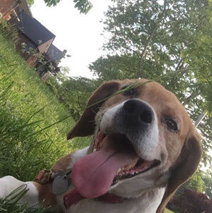 Meet your Posher, Ana